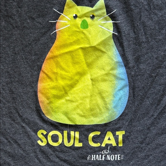 Disney Black Soul Cat Cropped Tee - Picture 4 of 4